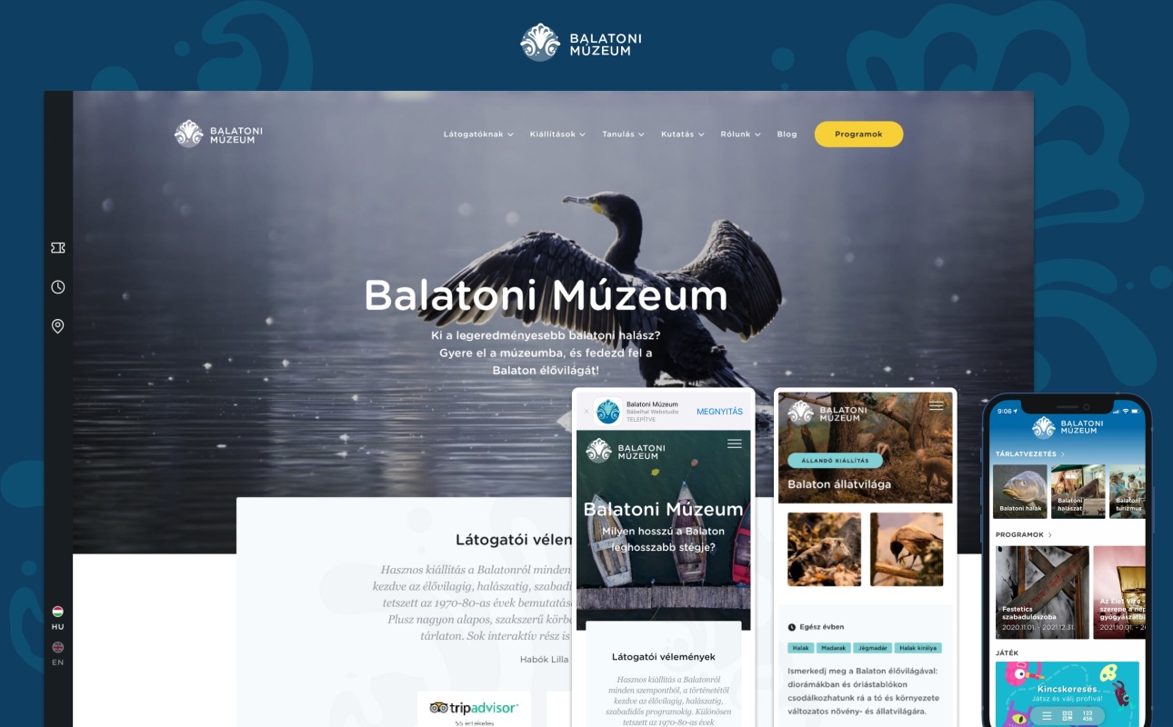 Balatoni Múzeum - Az év honlapja Különdíj 2021